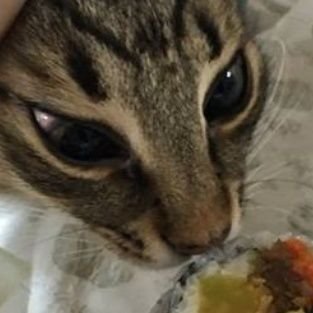 haruさんのプロフィール画像