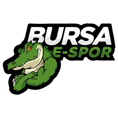 Bursa Espor