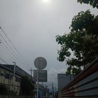 ヒロヒ (@raauewt1lllikyu) 's Twitter Profile