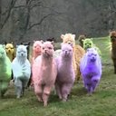 Caitlyn sinclair - @bitchesloveya - Twitter