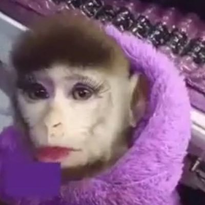 aikit0's profile picture. si lo leíste, no me acuerdo