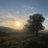 mariona_capl's profile image
