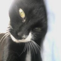ギタールンペン (@guitarlungpeng) 's Twitter Profile Photo ギタールンペン (@guitarlungpeng) 's Twitter Profile Photo