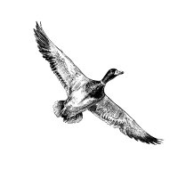 The Standard Sportsman Podcast (@stndsportsman) Twitter profile photo