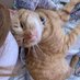 ripley (@ripba3) Twitter profile photo ripley (@ripba3) Twitter profile photo