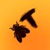 FLYT (@flytnft) Twitter profile photo FLYT (@flytnft) Twitter profile photo