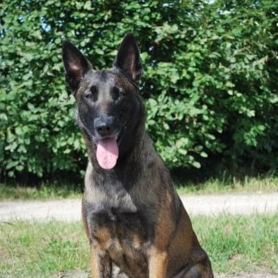 lemmenski's profile picture. Vader. Opgeleid brandweerman. Burgerhulpverlener. ICT-interim manager. Supply Chain consultant. =Comments without any respect? You will get blocked=