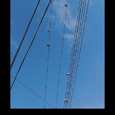 mym_aly1's profile picture. 100 percent follow back