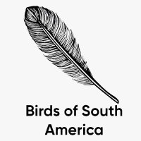 Birds of South America(@BirdsSouth) 's Twitter Profile Photo