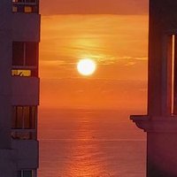 Киллуа Золдик ❤️ Memecoin (@anissaqkmi8z4) 's Twitter Profile