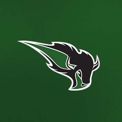 Official Twitter account of Oklahoma Baptist University football. Member of @GACAthletics and @NCAADII