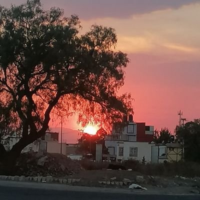 JosueOrva26's profile picture. 