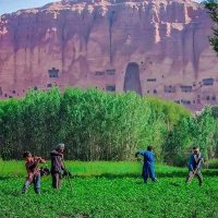 Bamyan🇦🇫 (@bamyan11) 's Twitter Profile