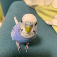 Yumi178ココちゃん探してます (@54_yumi) Twitter profile photo