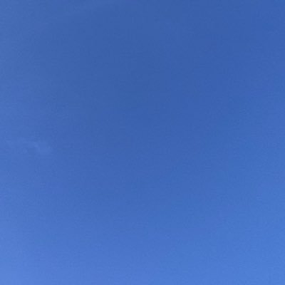 zaiidaa14's profile picture. 