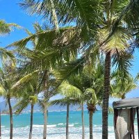 桃桃🍑_Jerry ❤️ Memecoin (@matteson5n0j8q) 's Twitter Profile