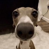 rupali salve ❤️ Memecoin (@vincenza0ukfp2) 's Twitter Profile