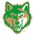 Buford Lady Wolves Flag Football (@bufordgirlsflag) Twitter profile photo