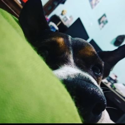 johanmanuelle_'s profile picture. aprendiendo a amar mi segundo nombre...