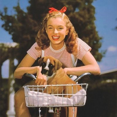 emilyxstella's profile picture. TAYRONTO NOV142024. TS12 ready! 🧡🇨🇦safe access to health care for all.🌍 ethical true crime consumption. 🌈 Free Palestine 🇵🇸