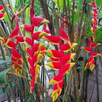 etelvina54's profile picture. 