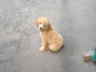 wbwthjy's profile picture. ни чего особого  скромненький