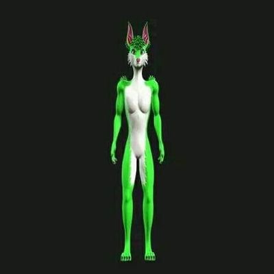 I am expert in making custom vrchat avatar, furry avatar, werewolf, 3d model, vr character, fursona sfw, nsfw for any of your prefer platform such as vrchat,