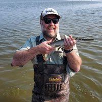 Titus Seilheimer (@drfishsg) 's Twitter Profile