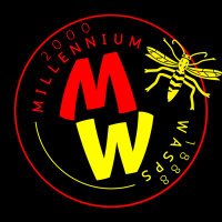 Millennium WASPS (@warleywasps) 's Twitter Profile