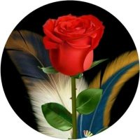 نواف (@f0ffb60087ec4fe) 's Twitter Profile