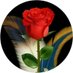 نواف (@f0ffb60087ec4fe) Twitter profile photo نواف (@f0ffb60087ec4fe) Twitter profile photo