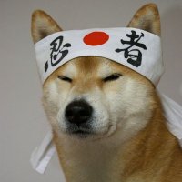 N3m0 (@falkonnemobf) 's Twitter Profile