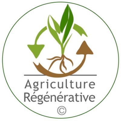 Fondateur d'Ecodyn et de l'association SoinDeLaTerre #AgricultureRégénérative #SolVivant #AgroEcologie #Climat