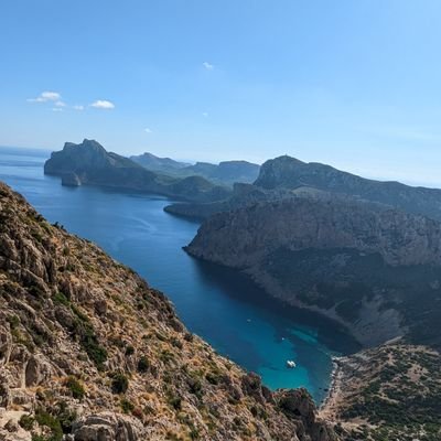 mallorcavenuda's profile picture. Si surt des pou, serà per fer plorar els que mos fan malviure des turisme