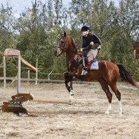 Vital ❤️ Memecoin (@foglesx279) 's Twitter Profile
