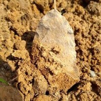 Daniel Sanchez (@danielsanc68065) 's Twitter Profile