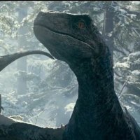 Erwan_alpha (@alpha_er0) 's Twitter Profile Photo