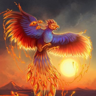 IbrahimTashim's profile picture. CEO - Baibars Venture Studio