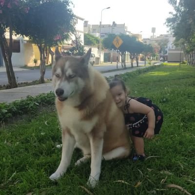 SignoriTita's profile picture. Mi cariño hacia los animales