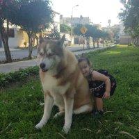 Tita Signori (@signoritita) 's Twitter Profile Photo