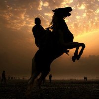 Mehmet A. ❤️ Memecoin (@riderm7ldc) 's Twitter Profile
