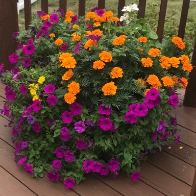 grandmakimmi's profile picture. Love my God ✝️ and family ❤️. Waiting for my Savior’s appearing. Look up! Our redemption draws near. Luke 21:28