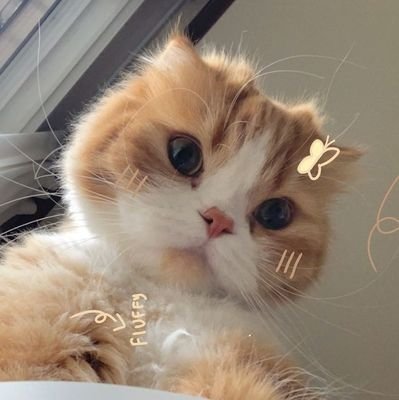 eveeeeeeeeee12's profile picture. ｡*ﾟditolakui2kali⋆.ೃ࿔*:･
✯ᴗ✯||°°filipi 4:6°°||