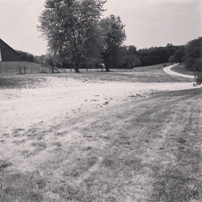 graysleep's profile picture. Luxury - Missouri