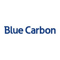 Blue Carbon Power(@BlueCarbonPower) 's Twitter Profile Photo
