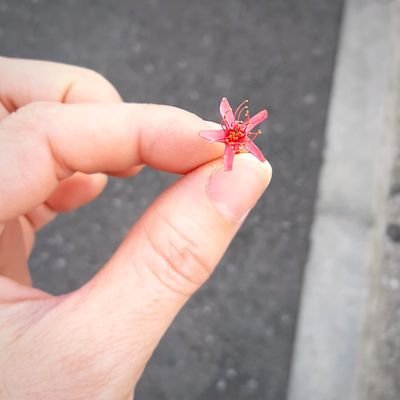 TMさんのプロフィール画像