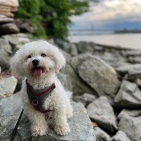 Bryan Ug (@bryanugerr) 's Twitter Profile