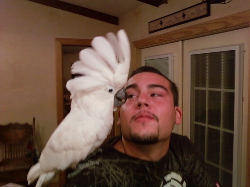 shtf8ced420's profile picture. 