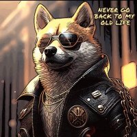 powerofsixteen ❤️ Memecoin (@izola3rz9mcq) Twitter profile photo
