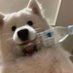 kkkmm (@dytcsn) Twitter profile photo kkkmm (@dytcsn) Twitter profile photo